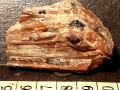 836a