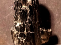 875d