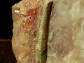 876c