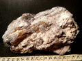 11c
