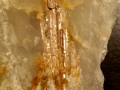 416c