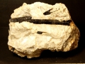 447a