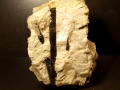 447c