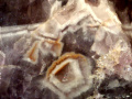 536c