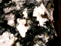 629c