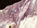 631c