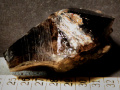 681b